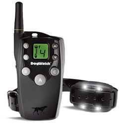 BigLeash® Remote Trainer & Training Package