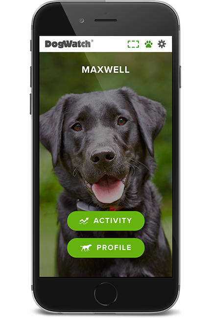 DogWatch by K9 Keeper Fencing LLC, Hastings, Michigan | SmartFence WebApp Image