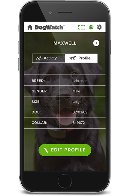 DogWatch by K9 Keeper Fencing LLC, Hastings, Michigan | SmartFence WebApp Image