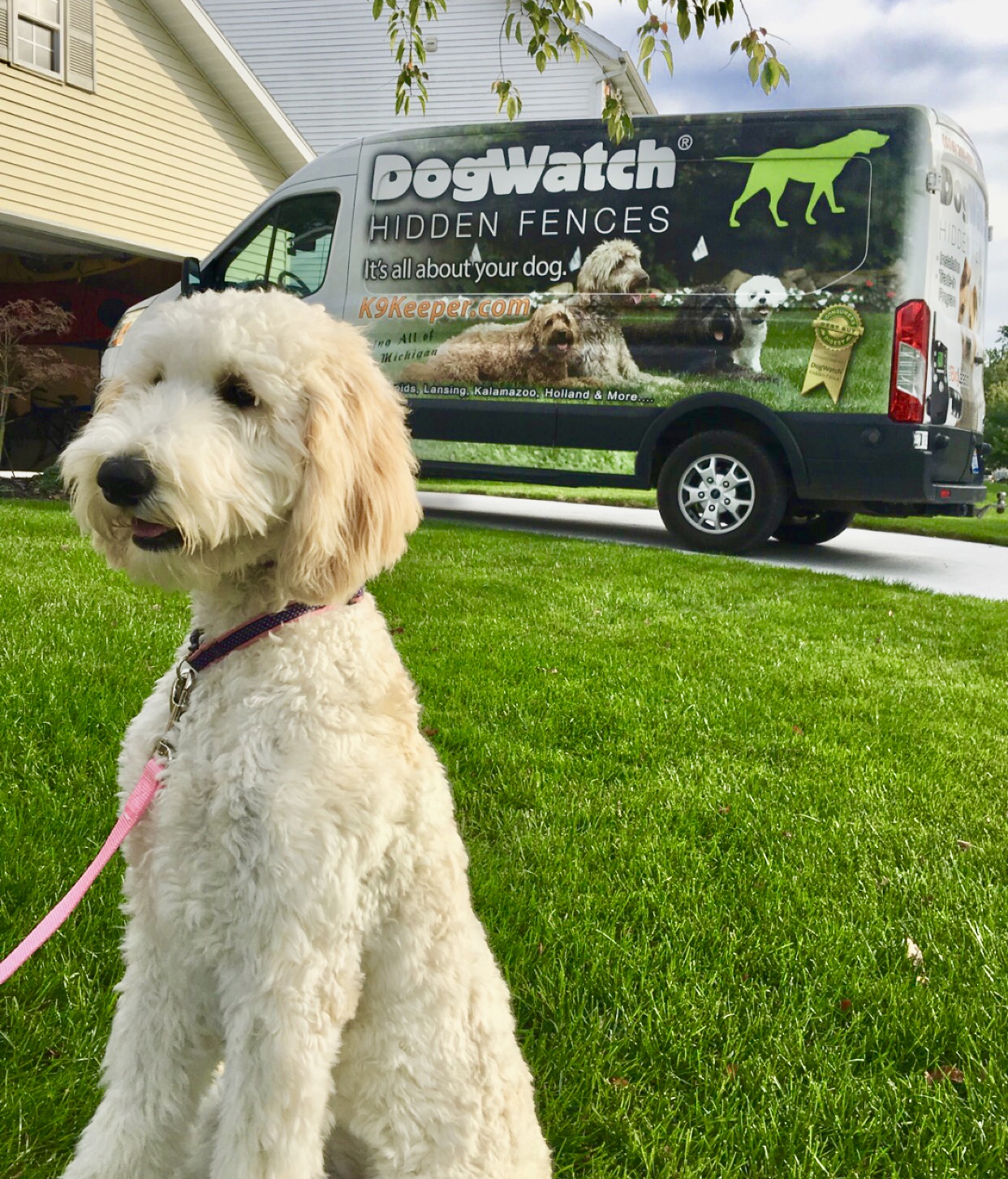 Merchandise – Dog Watch Boutique