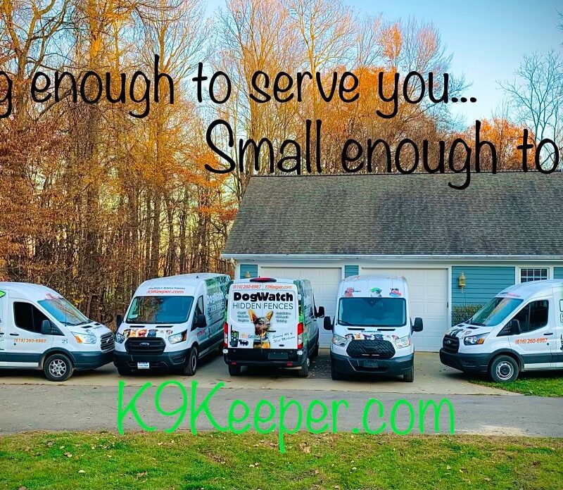 K9 Keepeer | Hidden Fences | Off Leash Training, Hastings, Michigan | Photo Gallery  Image