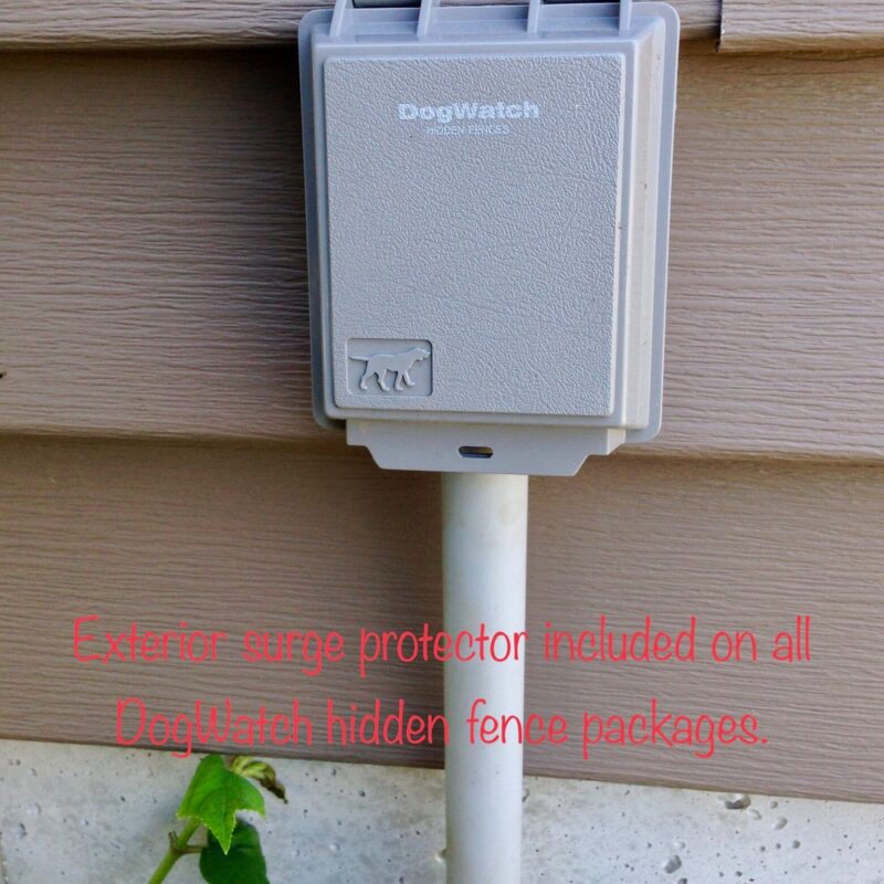 K9 Keepeer | Hidden Fences | Off Leash Training, Hastings, Michigan | Photo Gallery  Image