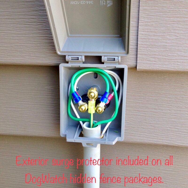 K9 Keepeer | Hidden Fences | Off Leash Training, Hastings, Michigan | Photo Gallery  Image