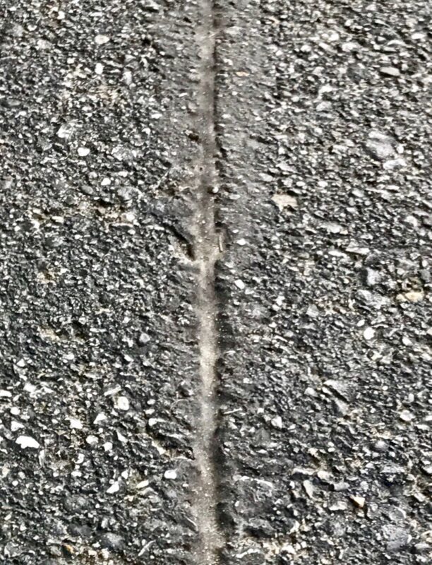 K9 Keepeer | Hidden Fences | Off Leash Training, Hastings, Michigan | Photo Gallery  Image