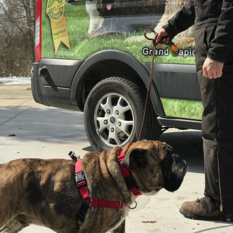 K9 Keepeer | Hidden Fences | Off Leash Training, Hastings, Michigan | Photo Gallery  Image