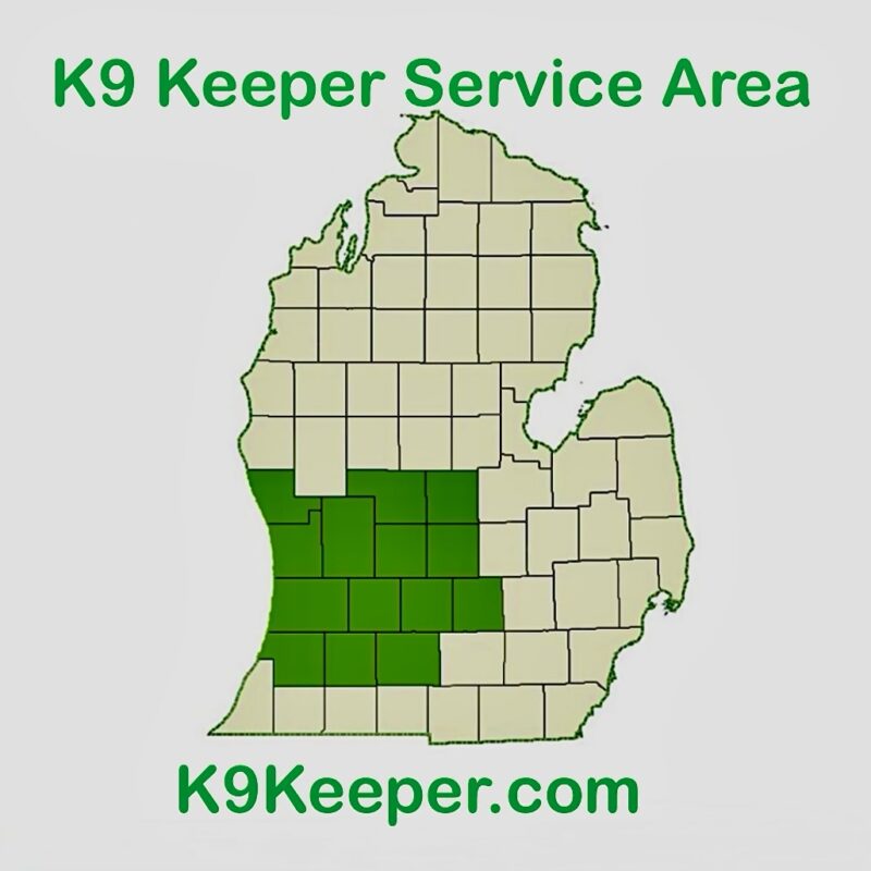 K9 Keepeer | Hidden Fences | Off Leash Training, Hastings, Michigan | Photo Gallery  Image