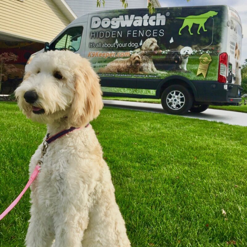 K9 Keepeer | Hidden Fences | Off Leash Training, Hastings, Michigan | Photo Gallery  Image